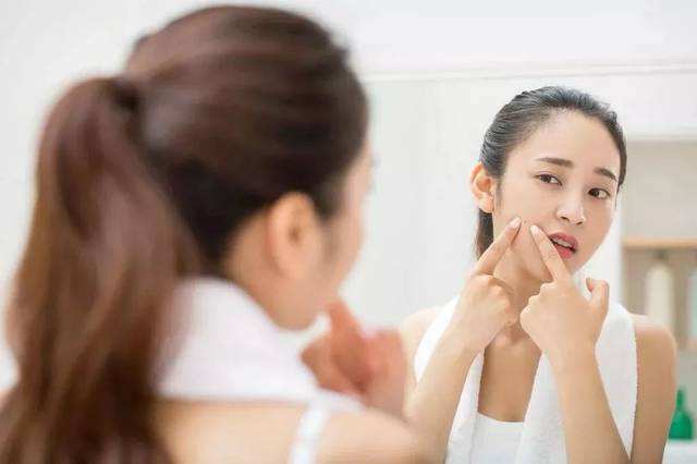 “稀客”紫背椋鸟到访福建
