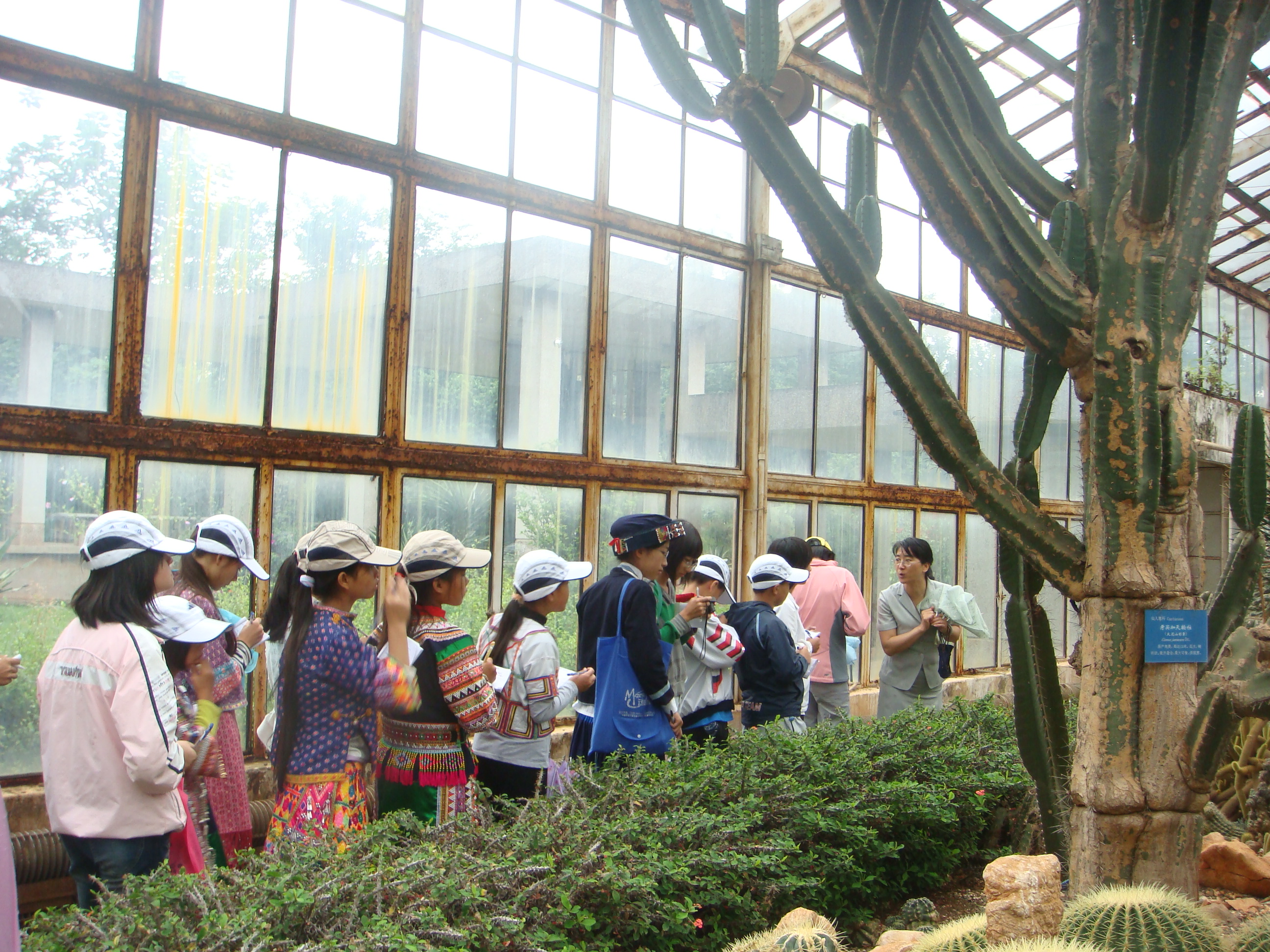 首批美丽广东生态文旅线路名单公布  湛江有1条线路榜上有名